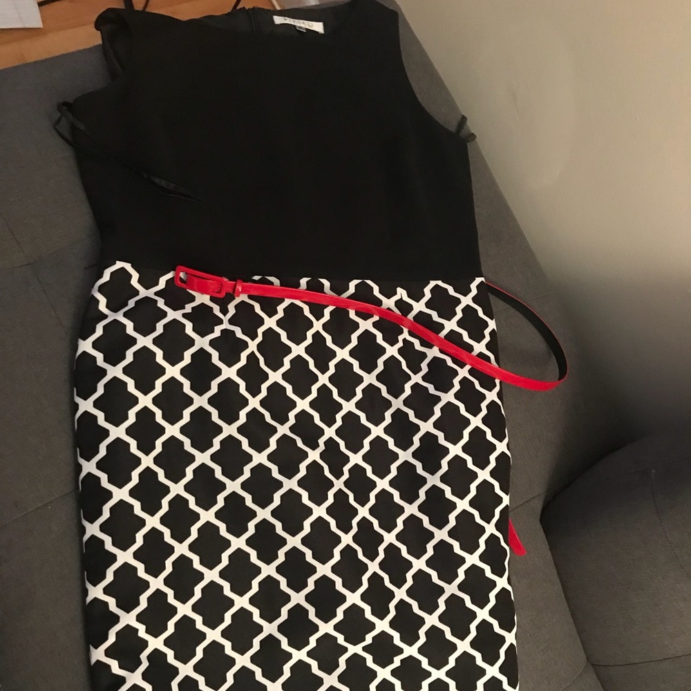 Adorable black and white dress with red belt